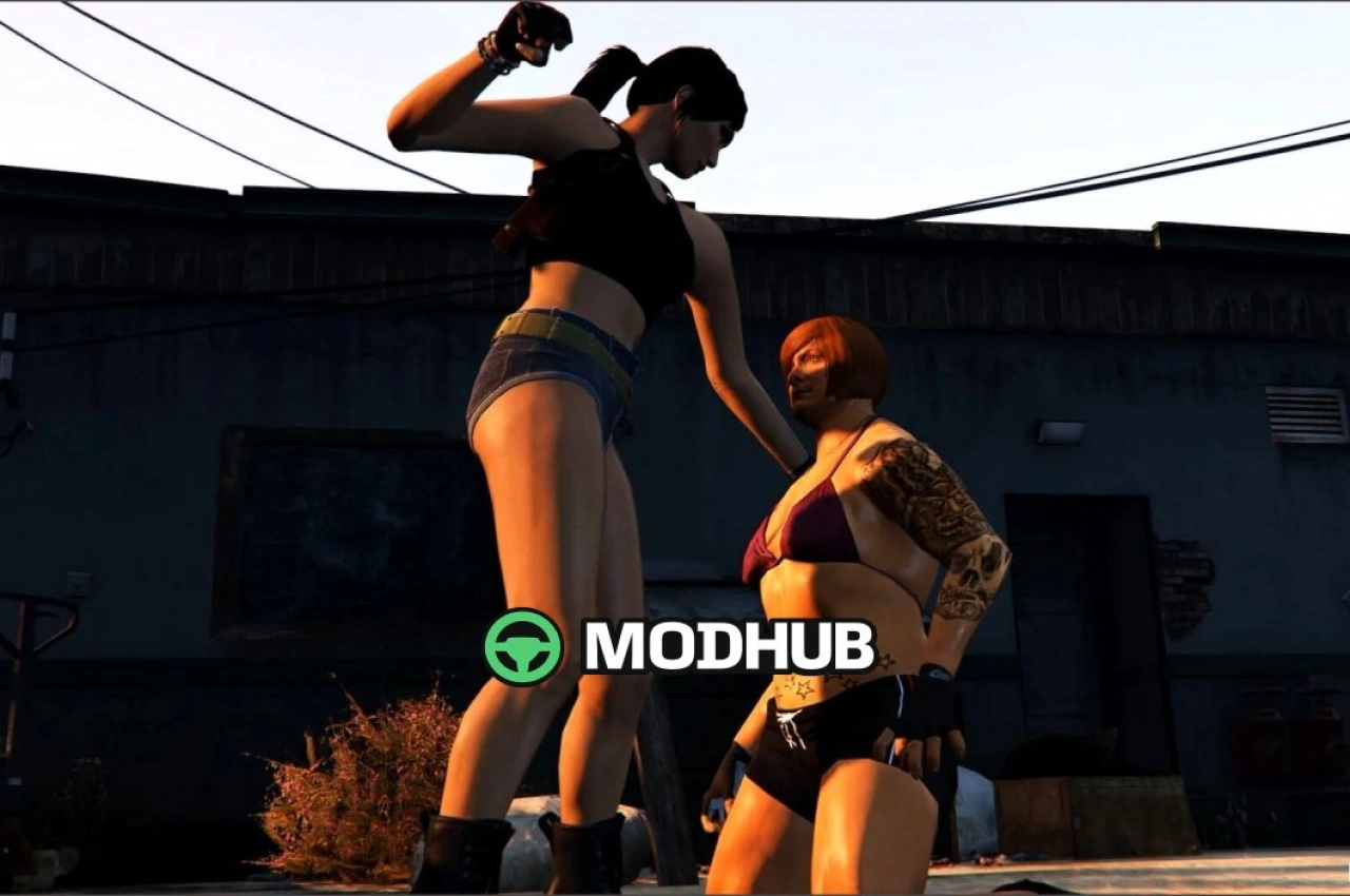 Hand zu Hand Animationen für GTA 5