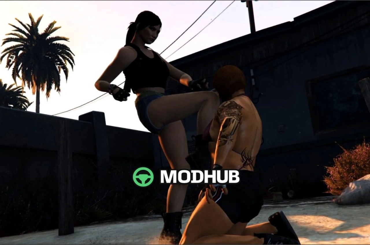 Hand zu Hand Animationen für GTA 5