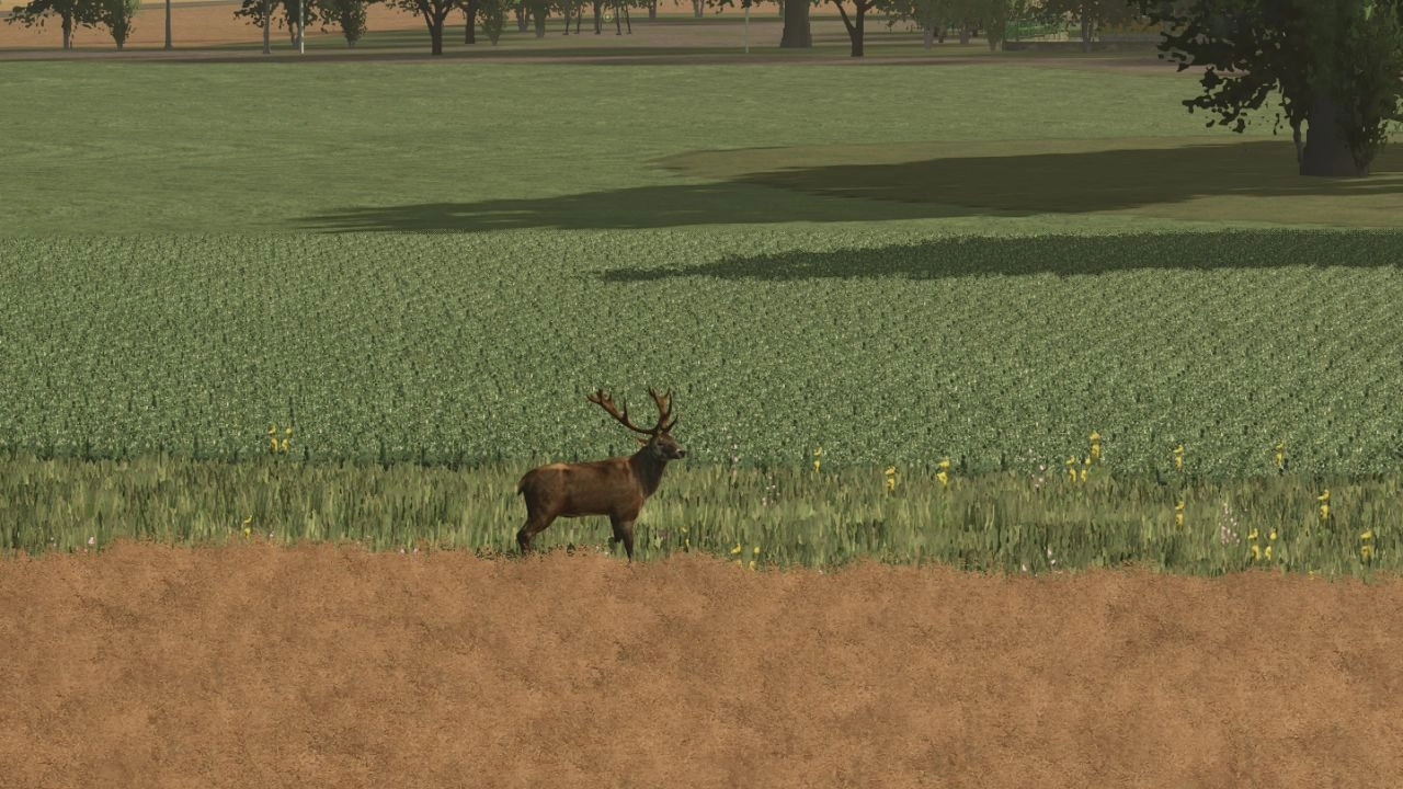 Більше диких тварин для Farming Simulator 25