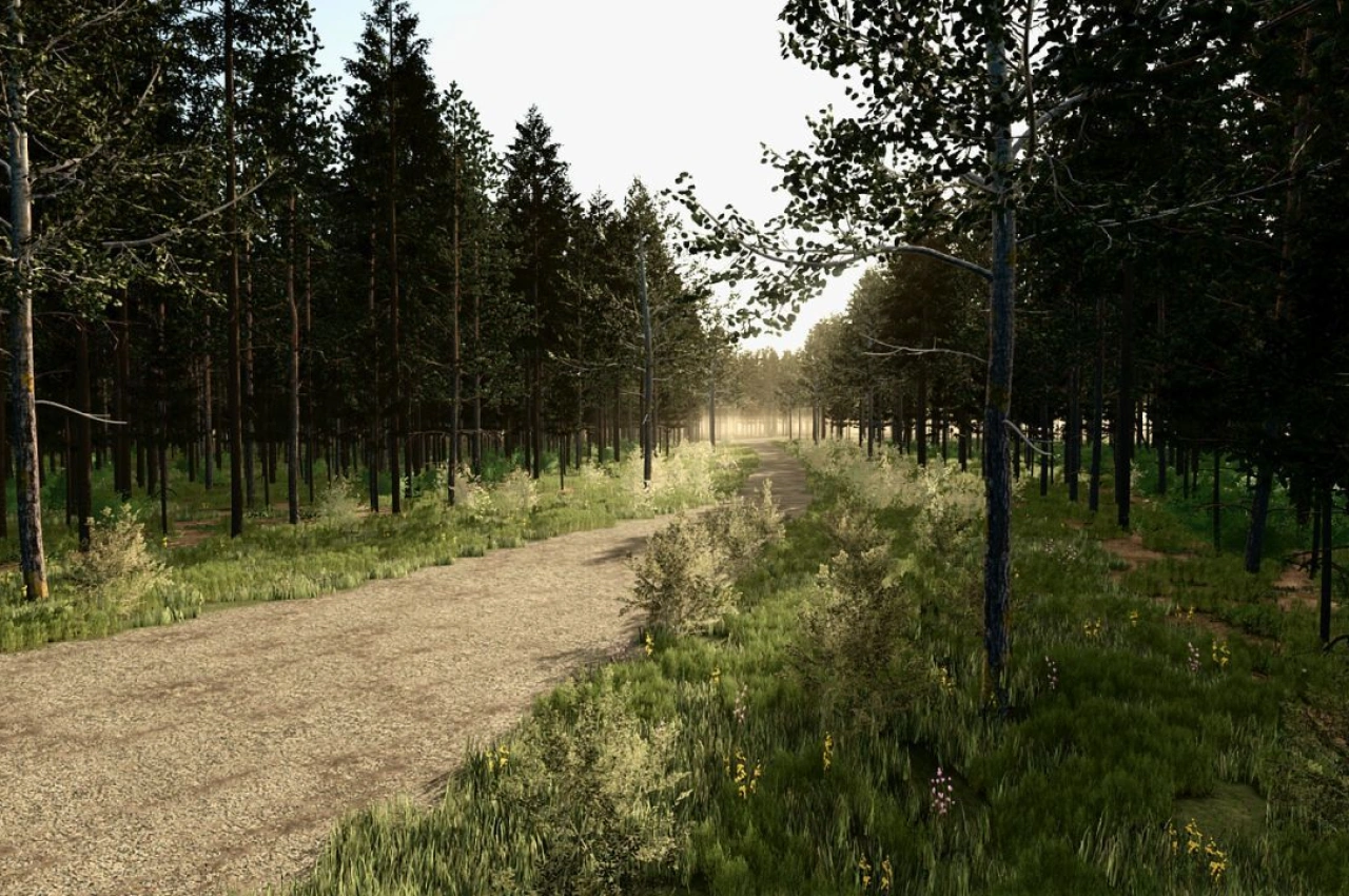 Карта Alliklepa для Farming Simulator 25