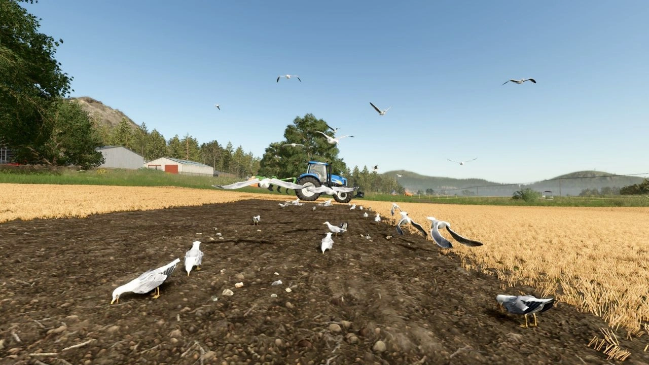 Мод з чайками для Farming Simulator 25