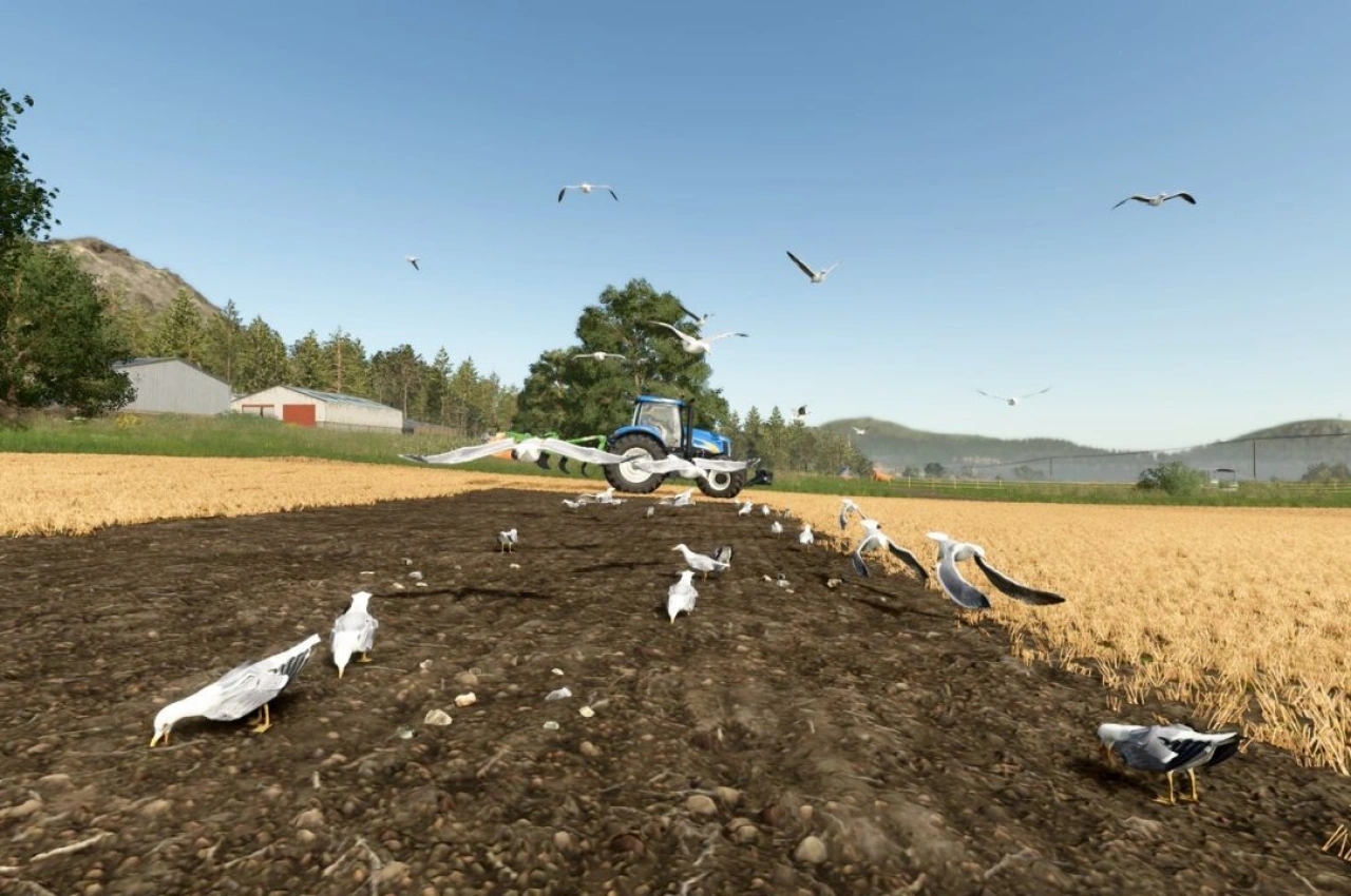 Мод з чайками для Farming Simulator 25