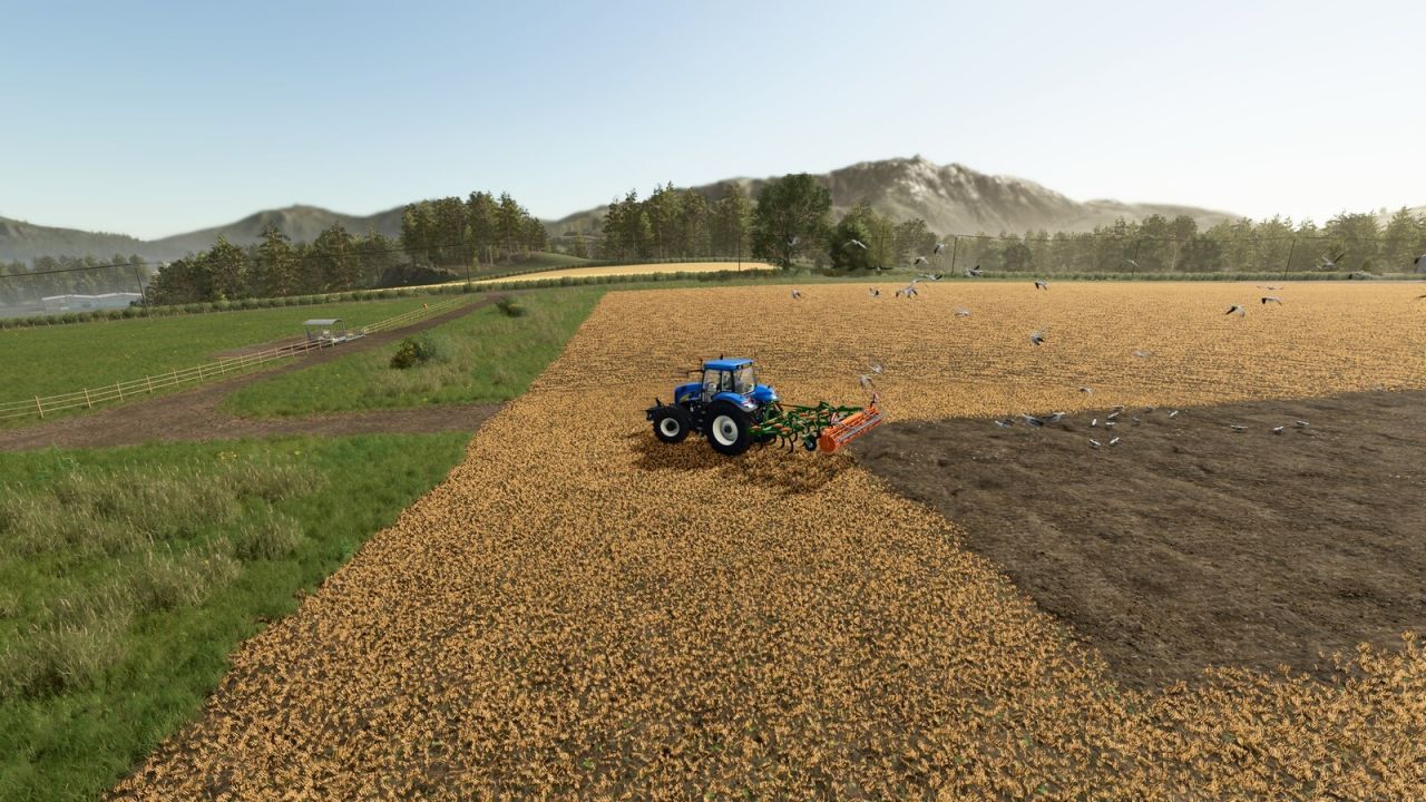 Field Gulls Mod for Farming Simulator 25