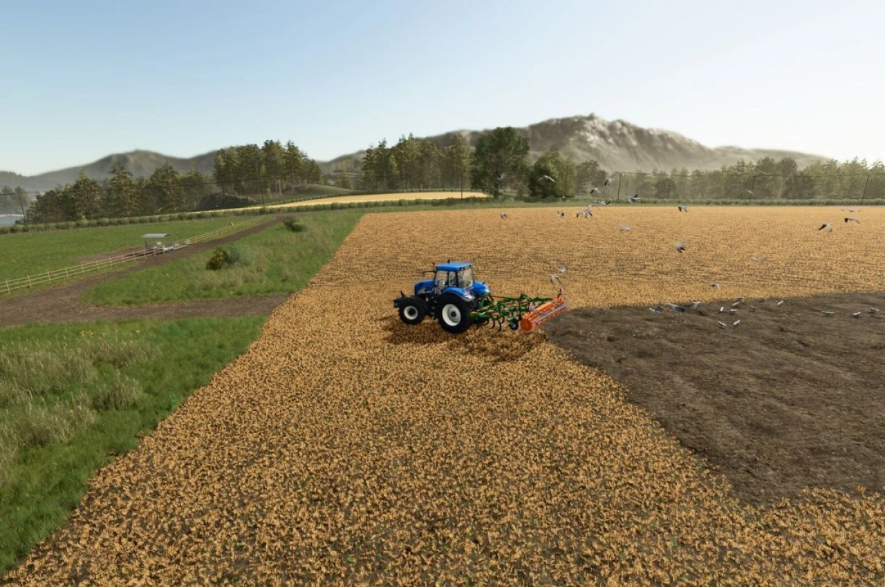 Мод з чайками для Farming Simulator 25