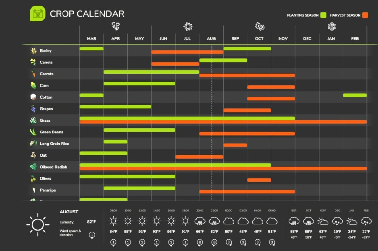 Карта Роллінг Фарmlands Мічиган для Farming Simulator 25