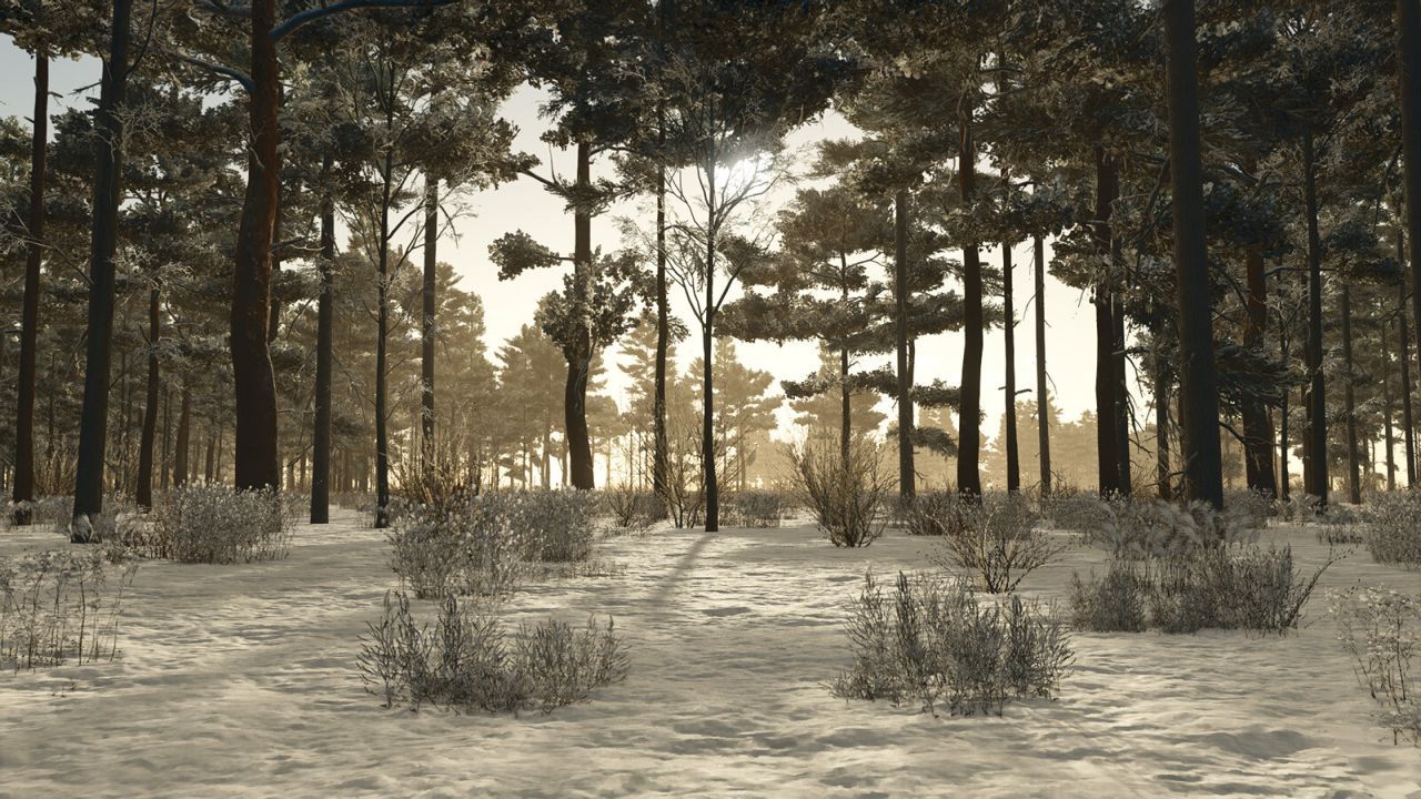 Острів Ronîda 4x для Farming Simulator 25