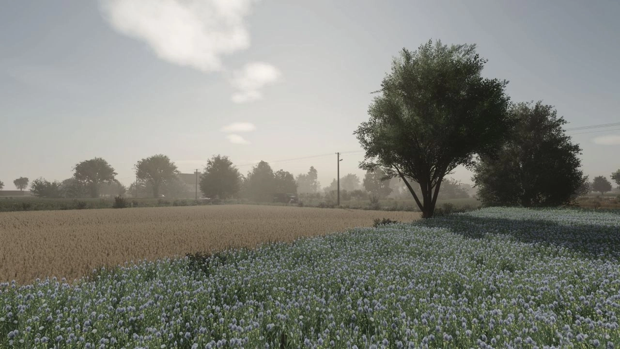 Карта Żbiki для Farming Simulator 25