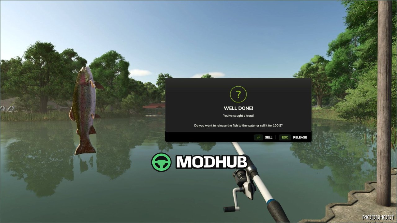 Швидка риболовля V1.0.0.1 для Farming Simulator 25