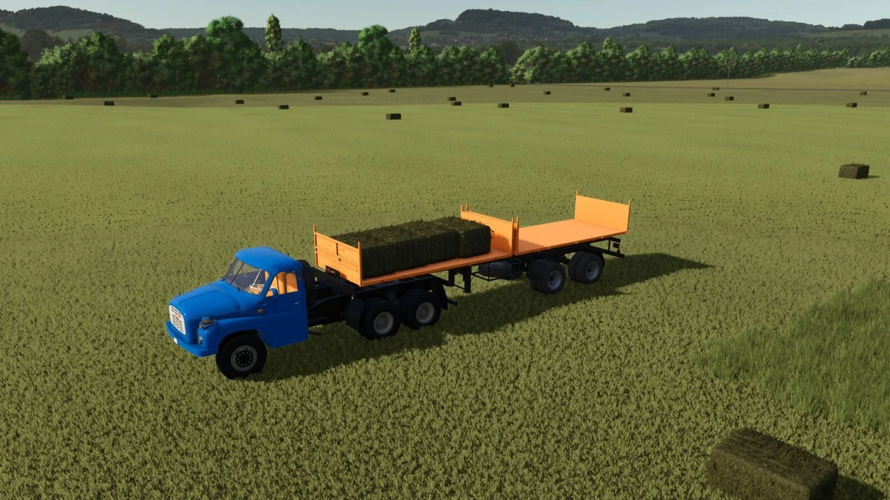 Причіп BSS NS2-29.21.20 для Farming Simulator 25