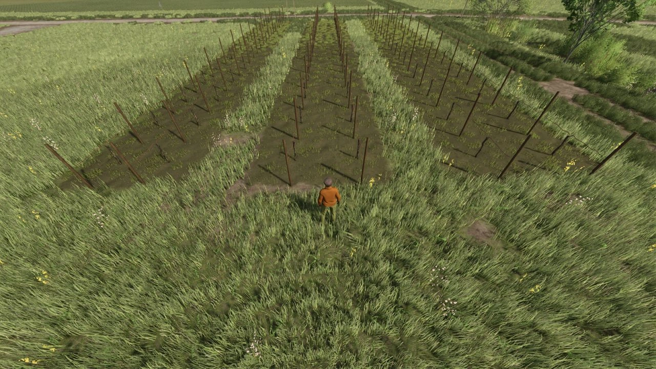 Виноградники та оливки 2 і 2.50 для Farming Simulator 25