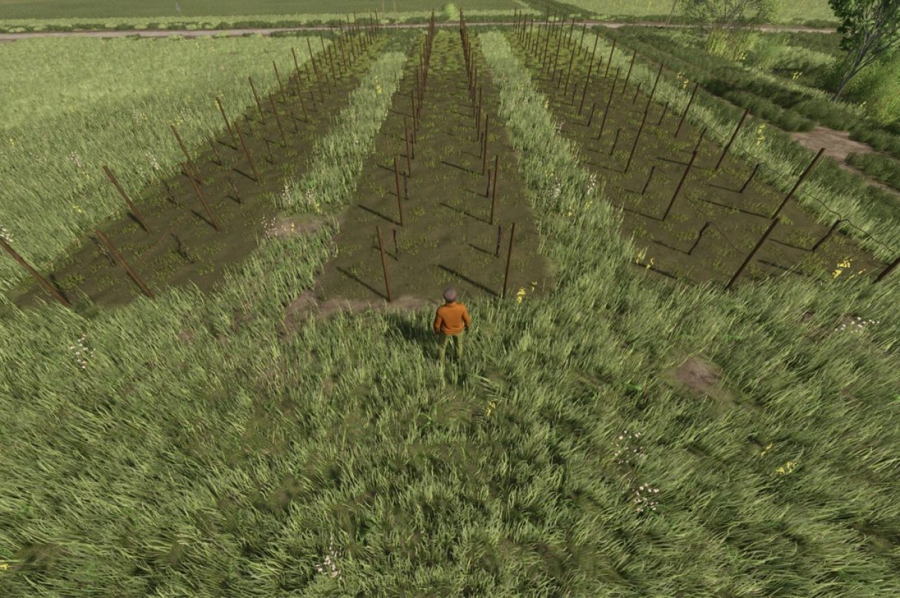 Виноградники та оливки 2 і 2.50 для Farming Simulator 25