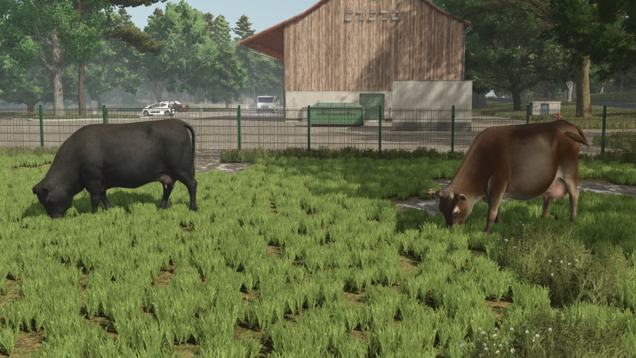 Карта Meinefeld для Farming Simulator 25
