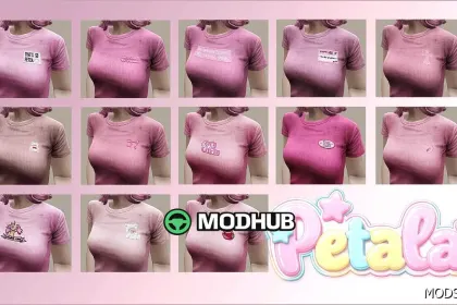 Mädchen TOP für GTA 5 — 2