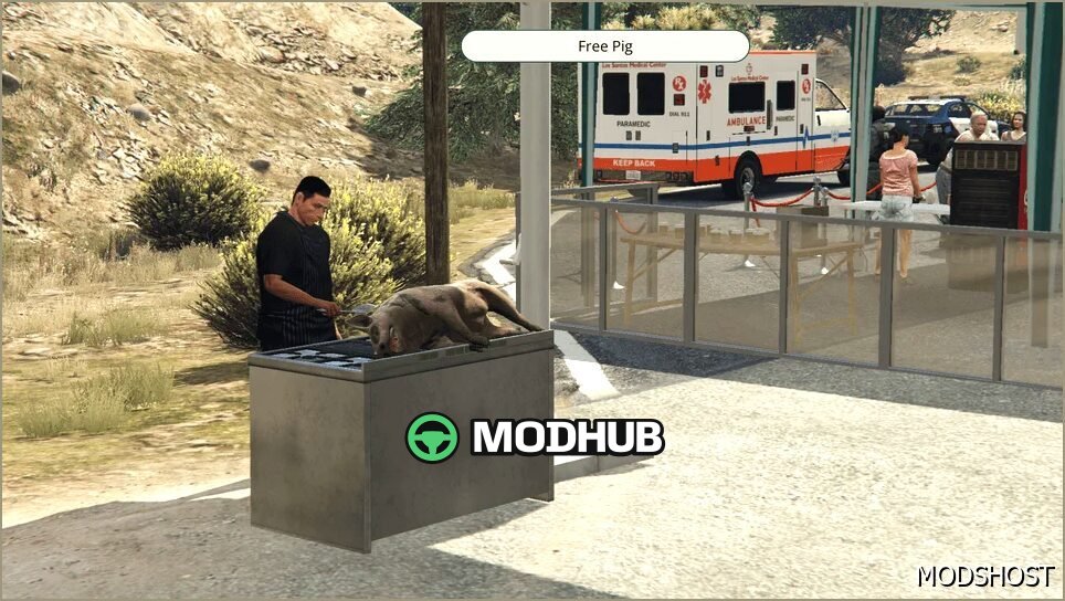 Free Medical Check Up Map for GTA 5