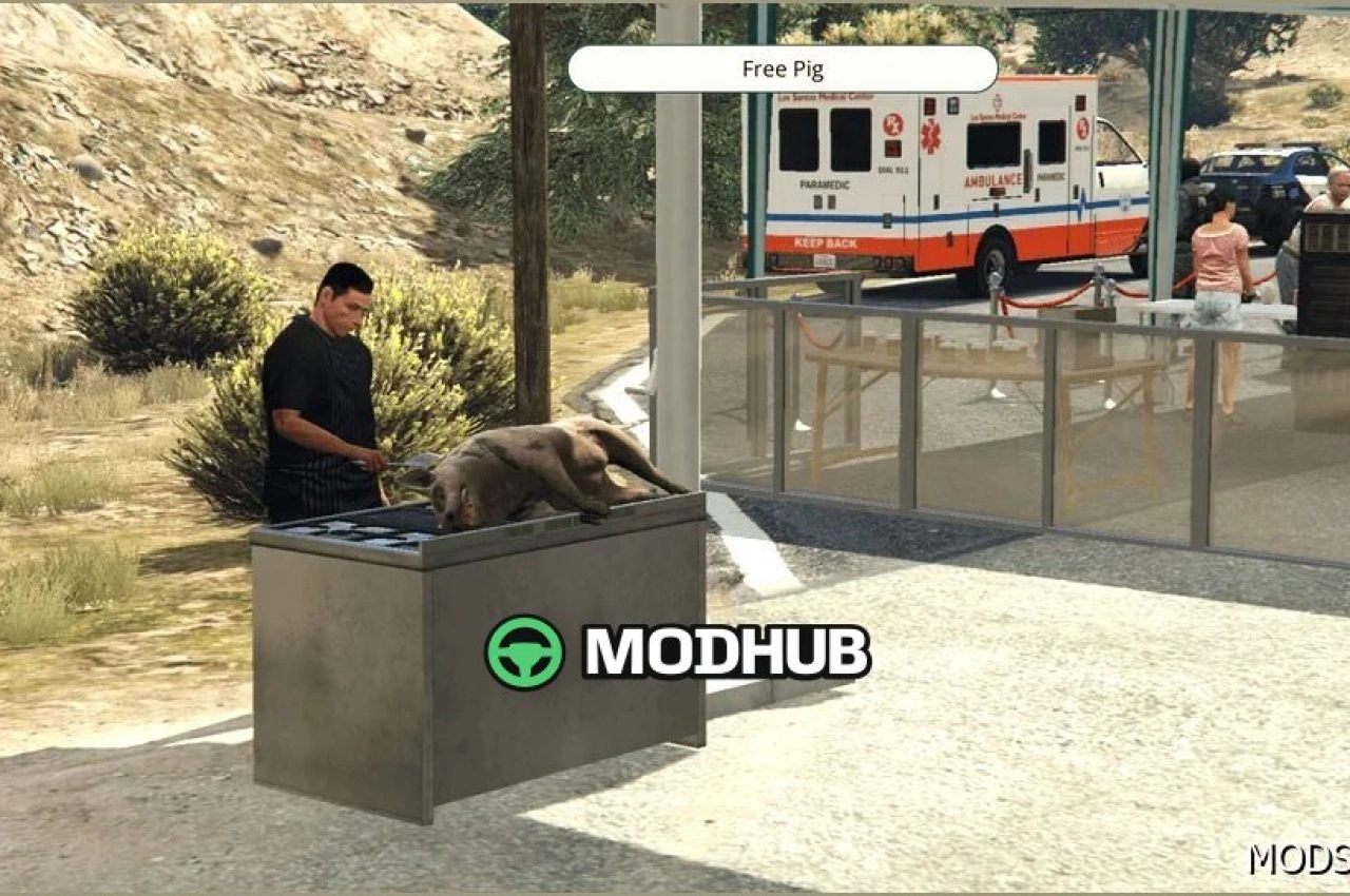 Карта безкоштовного медичного огляду для GTA 5