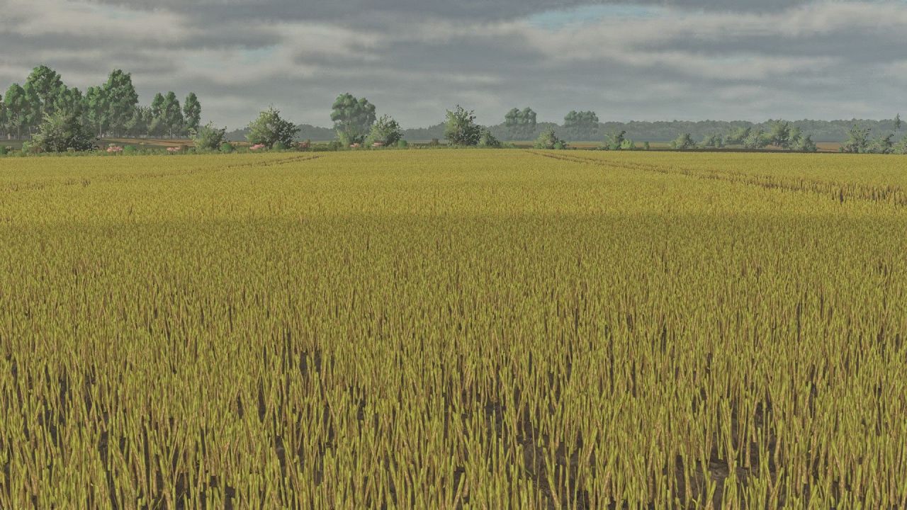 Текстури листя каноли для Farming Simulator 25