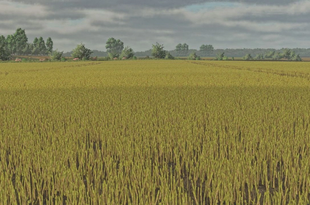 Текстури листя каноли для Farming Simulator 25