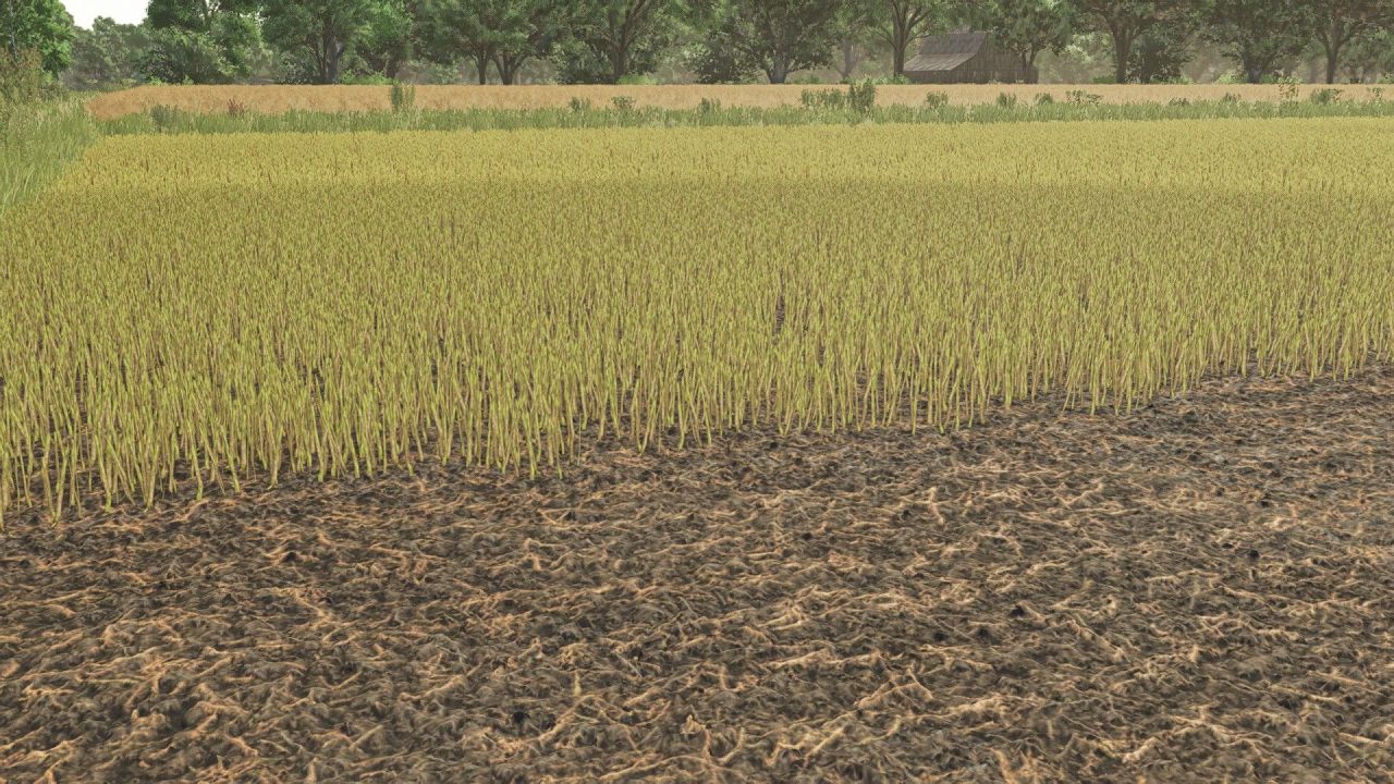 Текстури листя каноли для Farming Simulator 25