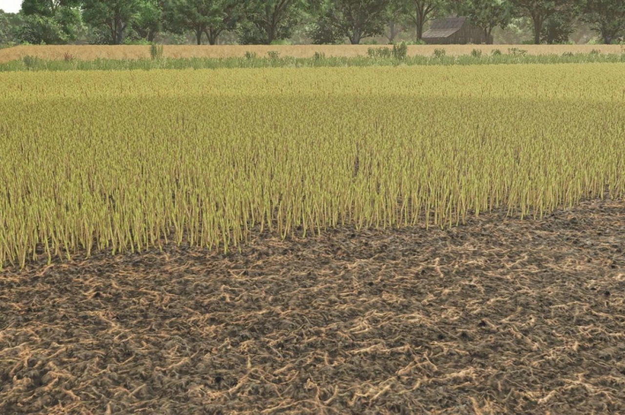 Текстури листя каноли для Farming Simulator 25