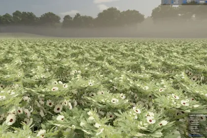 Nowy prefab Okra (Bame) i Edamame (Zielona Soja) dla Farming Simulator 25 — Warzywa — 4