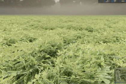 Nowy prefab Okra (Bame) i Edamame (Zielona Soja) dla Farming Simulator 25 — Warzywa — 5