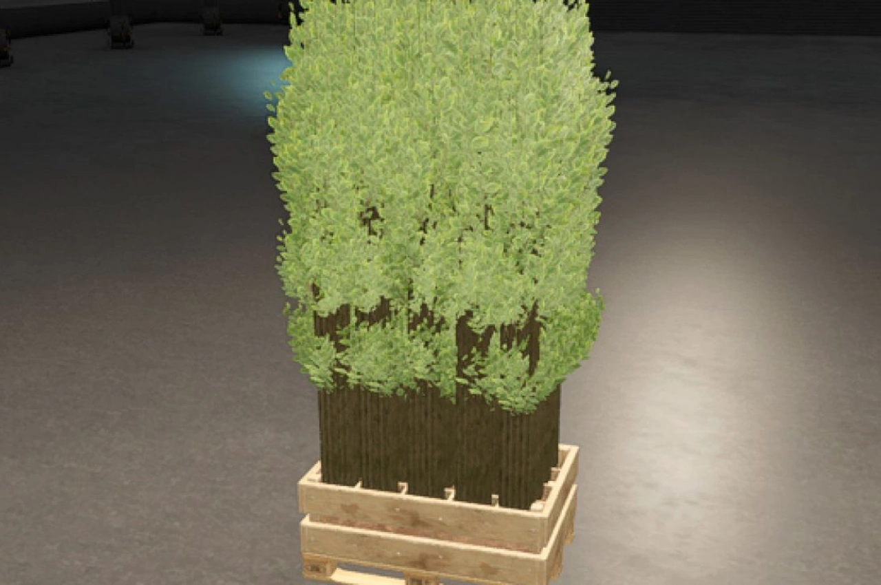 Пallet з саджанцями дерев для Farming Simulator 25