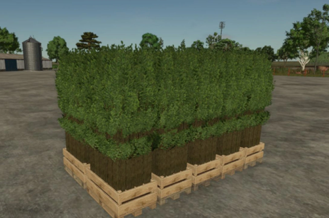 Пallet з саджанцями дерев для Farming Simulator 25