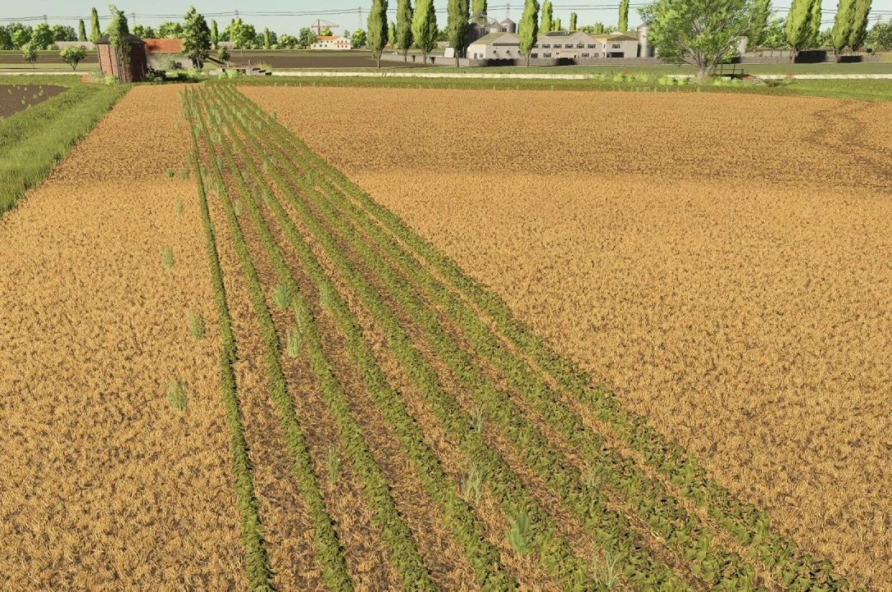 Карта Polesine RCS для Farming Simulator 25