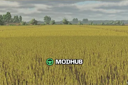 Rapsblätter Texturen für Farming Simulator 25