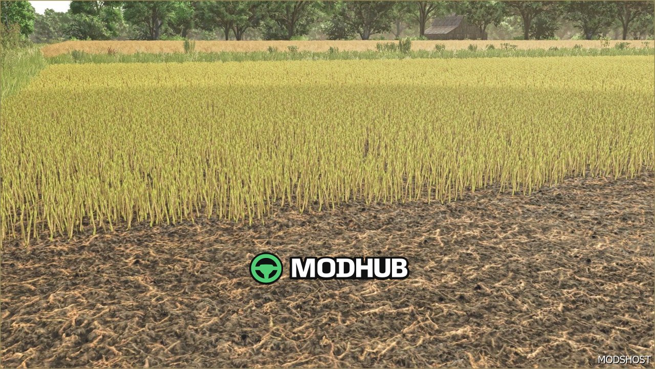 Rapsblätter Texturen für Farming Simulator 25