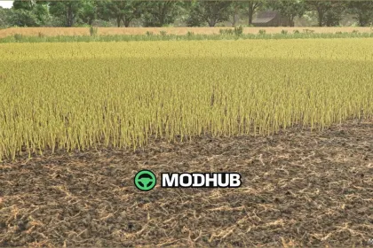 Rapsblätter Texturen für Farming Simulator 25 — 2