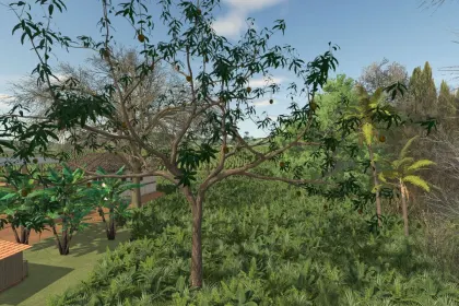 Декоративне Mango Tree — Екзотичне Мангове Дерево для Прикраси Ферми в FS25