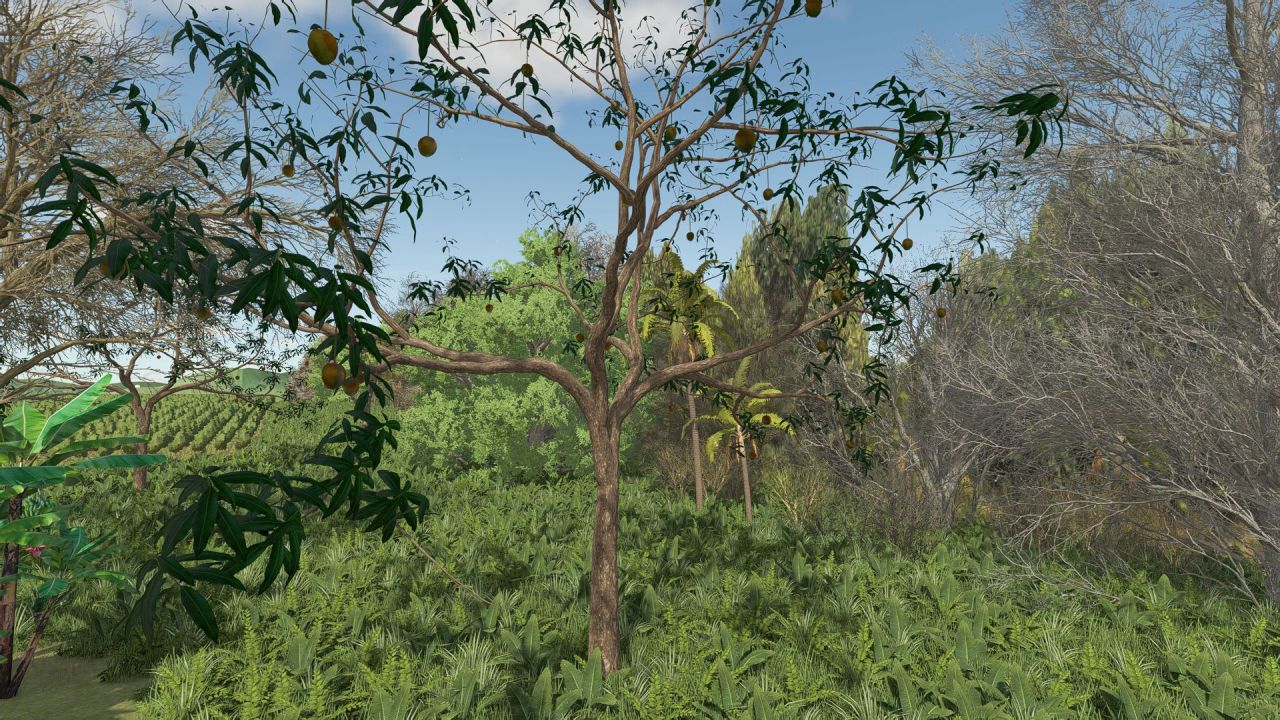 Декоративне Mango Tree — Екзотичне Мангове Дерево для Прикраси Ферми в FS25