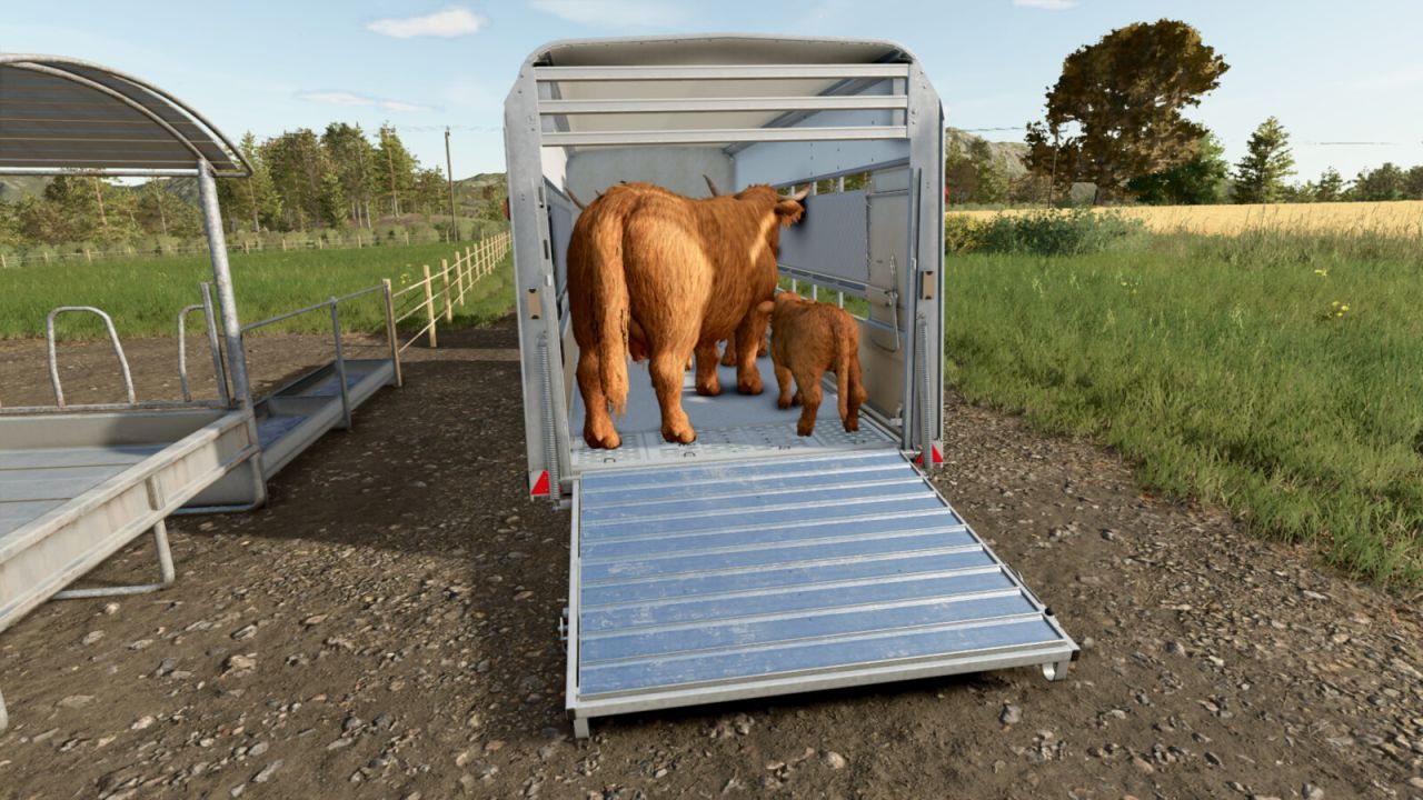 Причіп для худоби Ifor Williams TA510T для Farming Simulator 25