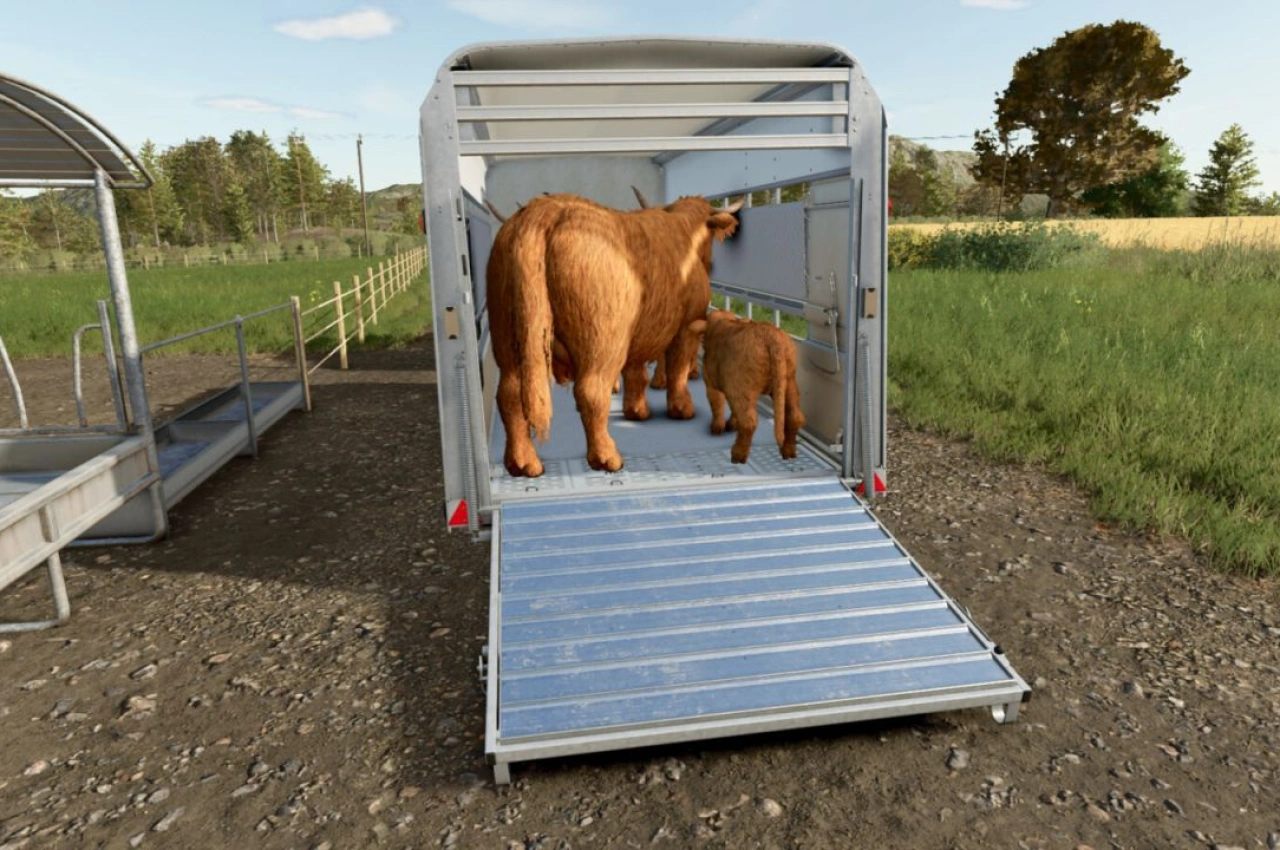 Причіп для худоби Ifor Williams TA510T для Farming Simulator 25