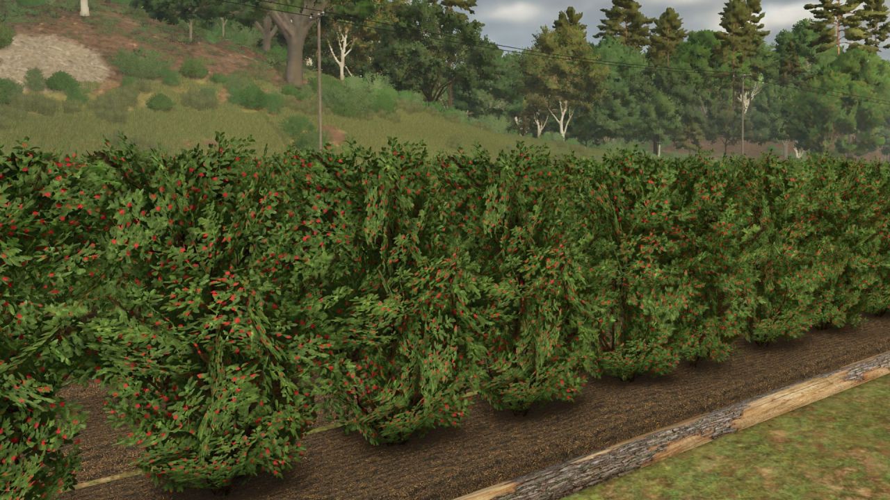 Фруктова теплиця 1.2.2.0 для Farming Simulator 25