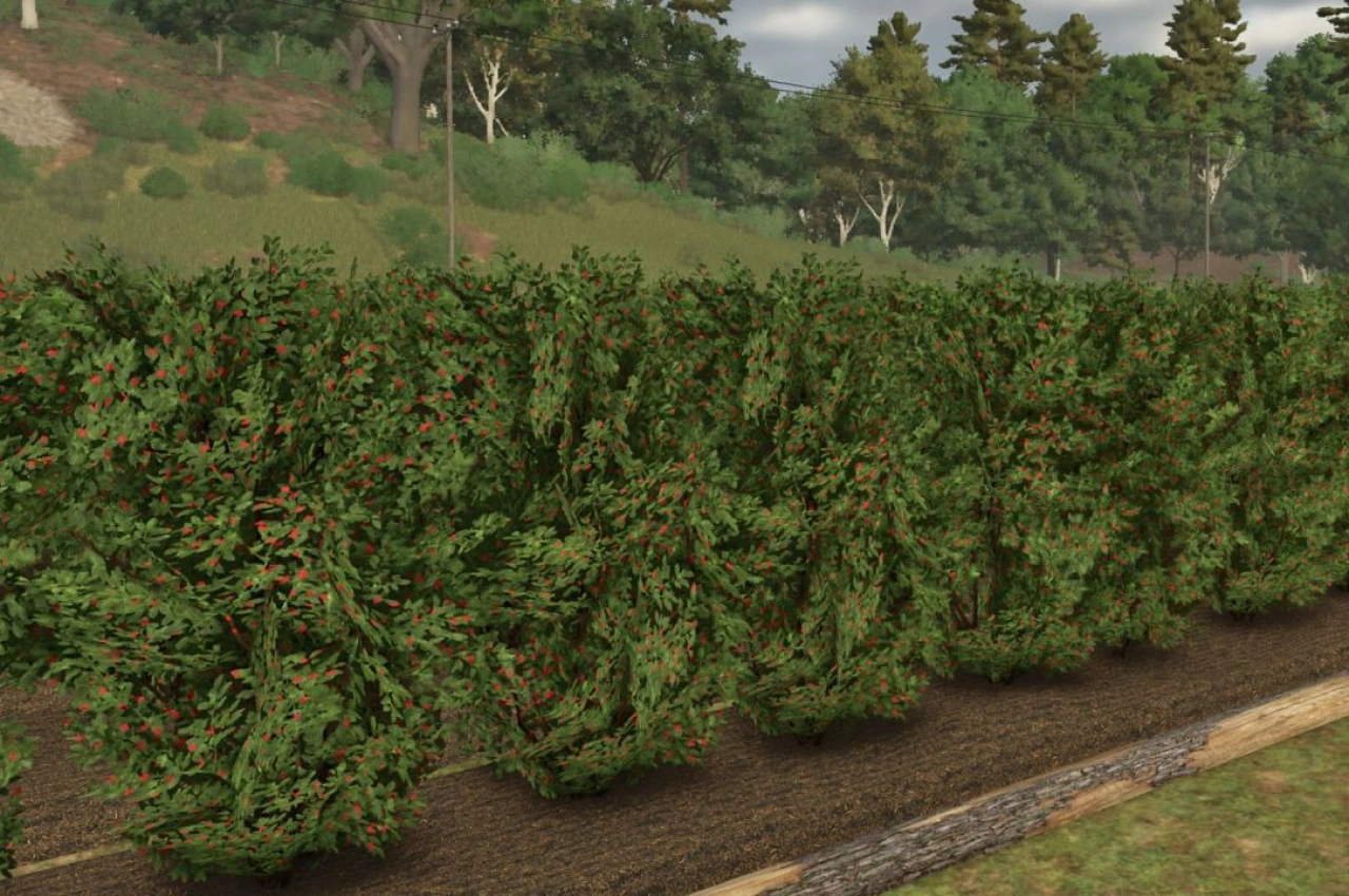 Фруктова теплиця 1.2.2.0 для Farming Simulator 25 — 6