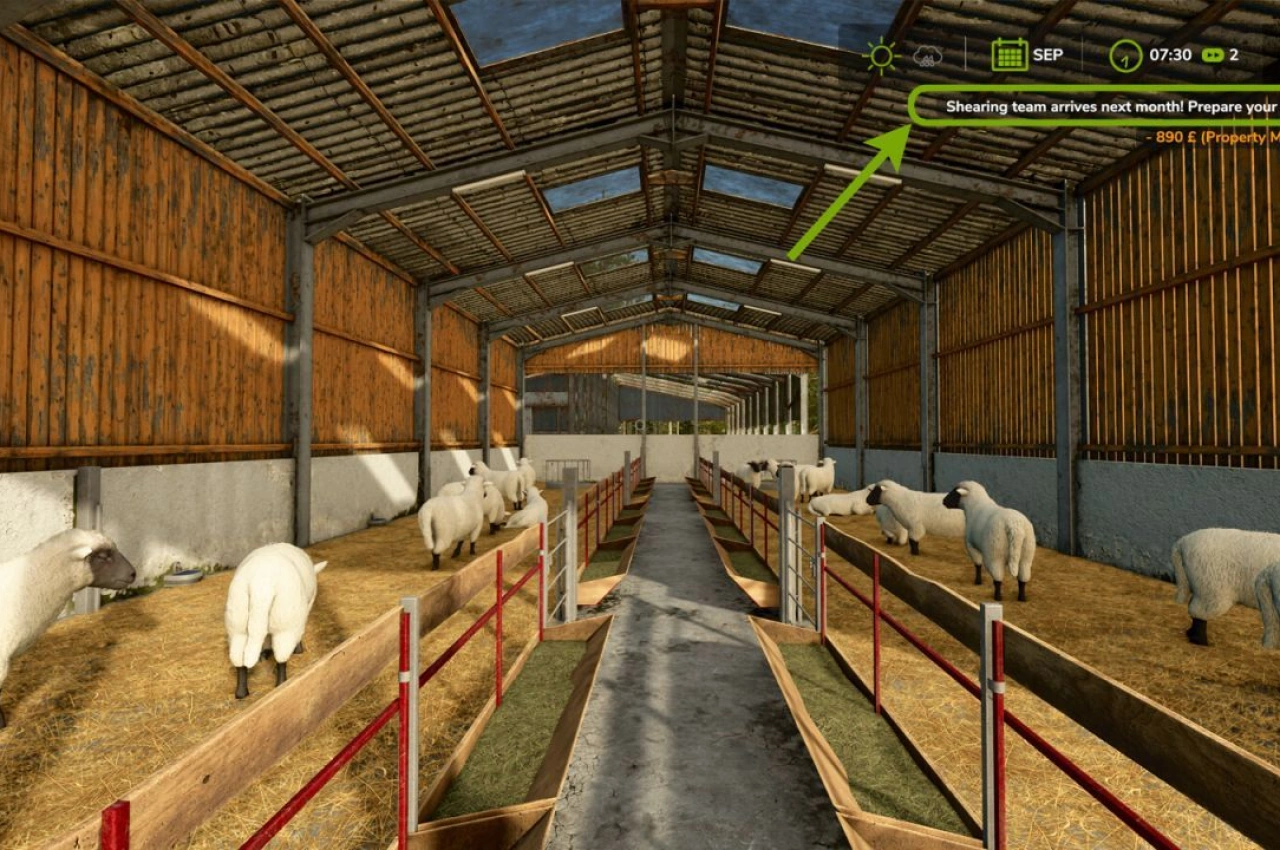 Система сезонного виробництва вовни для Farming Simulator 25 — 1