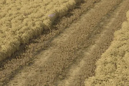 Мод подрібнювача соломи для Farming Simulator 25 — 5