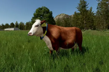 Породи корів для Farming Simulator 25 — 1