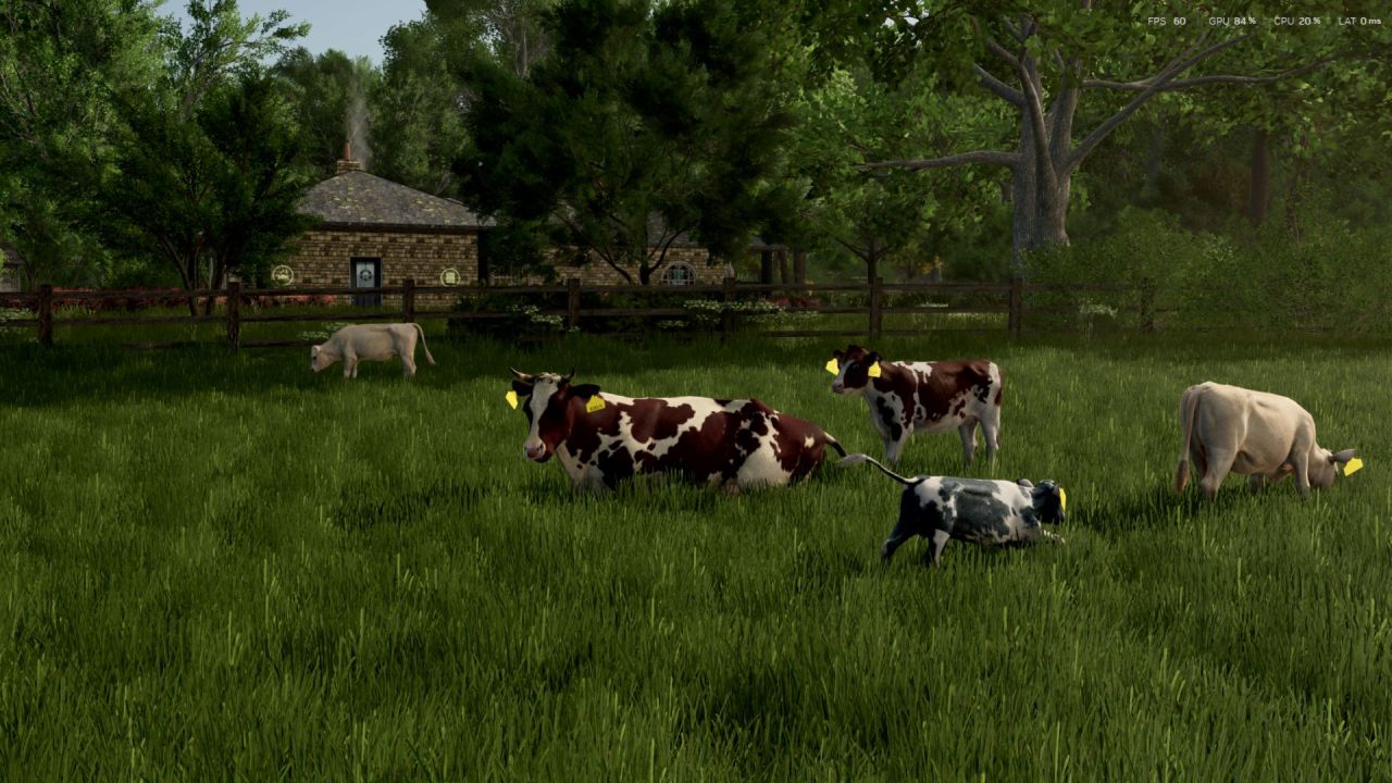 Породи корів для Farming Simulator 25