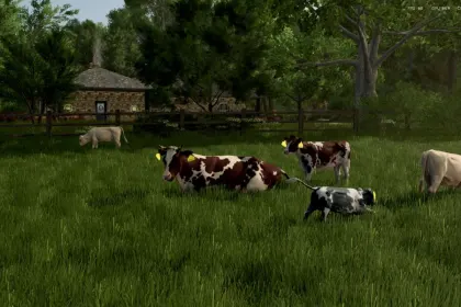 Породи корів для Farming Simulator 25 — 3