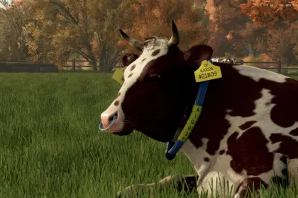 Породи корів для Farming Simulator 25 — 4