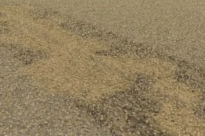 Мод розкиду гною для Farming Simulator 25 — 6