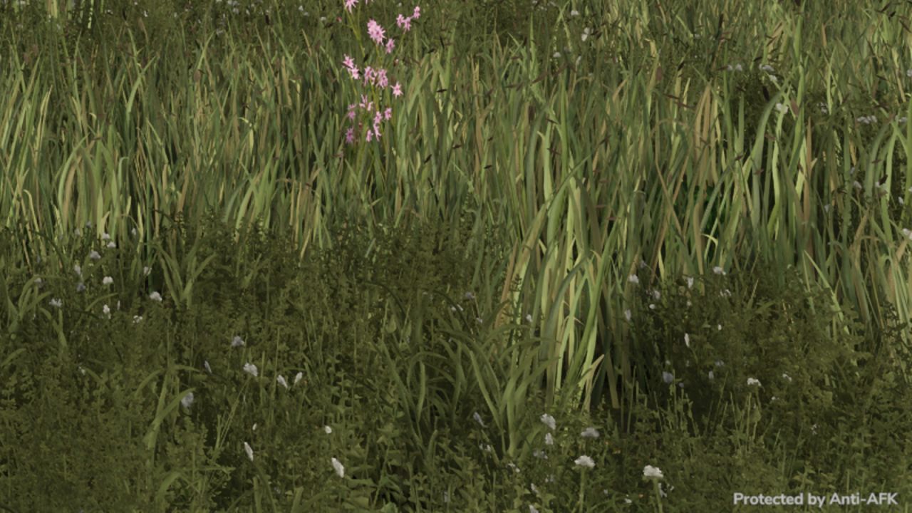 Скрипт Anti-AFK для Farming Simulator 25