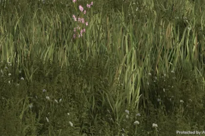 Скрипт Anti-AFK для Farming Simulator 25 — 2