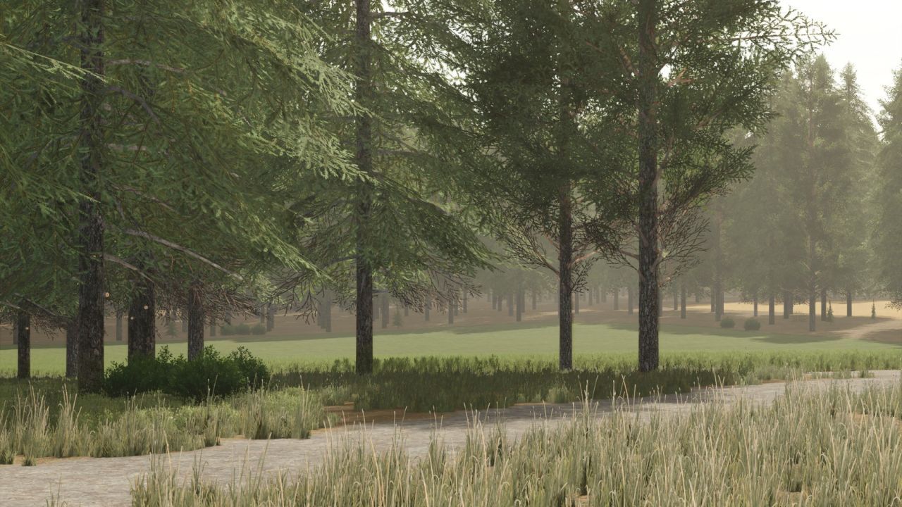 Карта Pinewood Forest для Farming Simulator 25