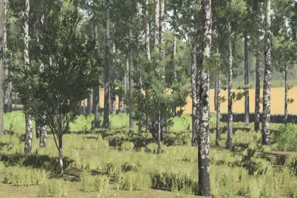 Карта Pinewood Forest для Farming Simulator 25 — 5