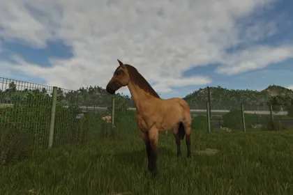 Оренда конюшень для Farming Simulator 25 — 1