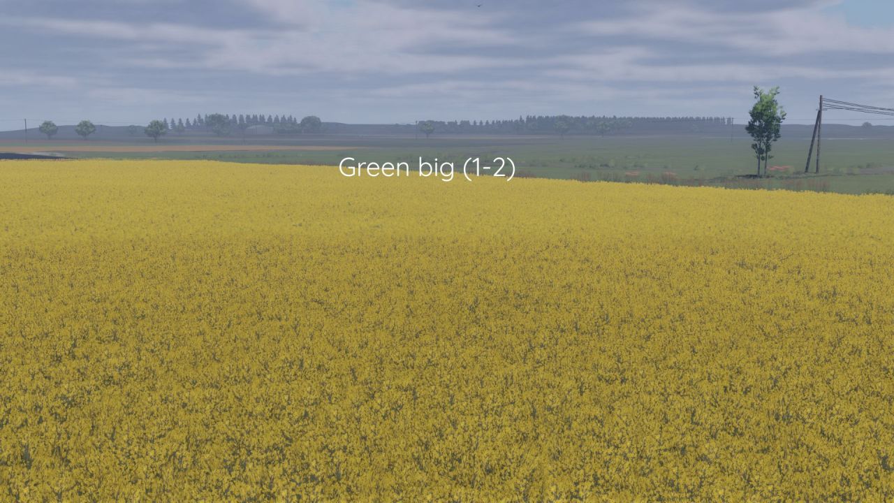 Improved Canola Texture for Farming Simulator 25